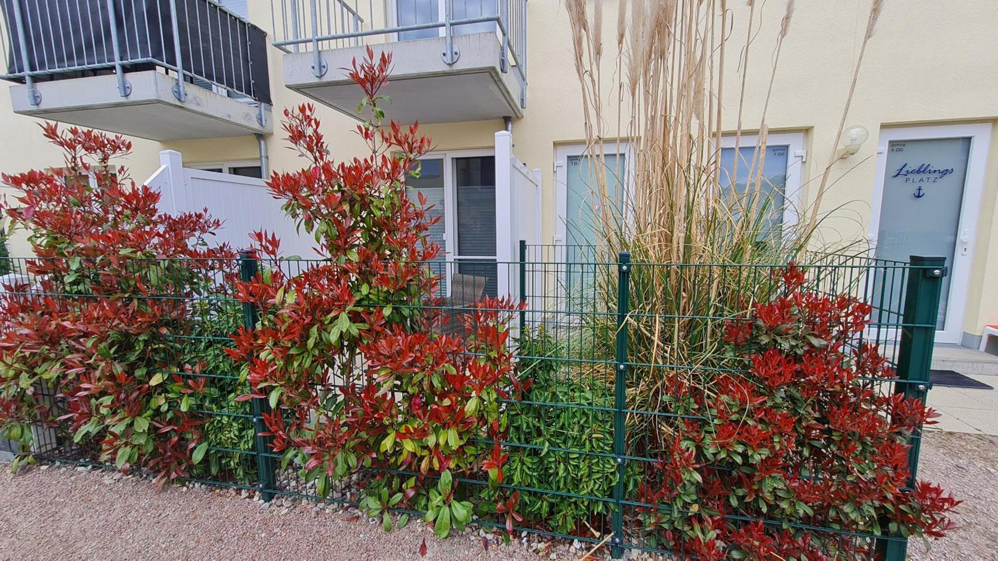 Ferienwohnung Ostsee Graal-Mueritz Kuestenwald Gelbensande Exterior foto